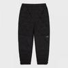The North Face Men S Geodome V pantS Blk Np6nq55a