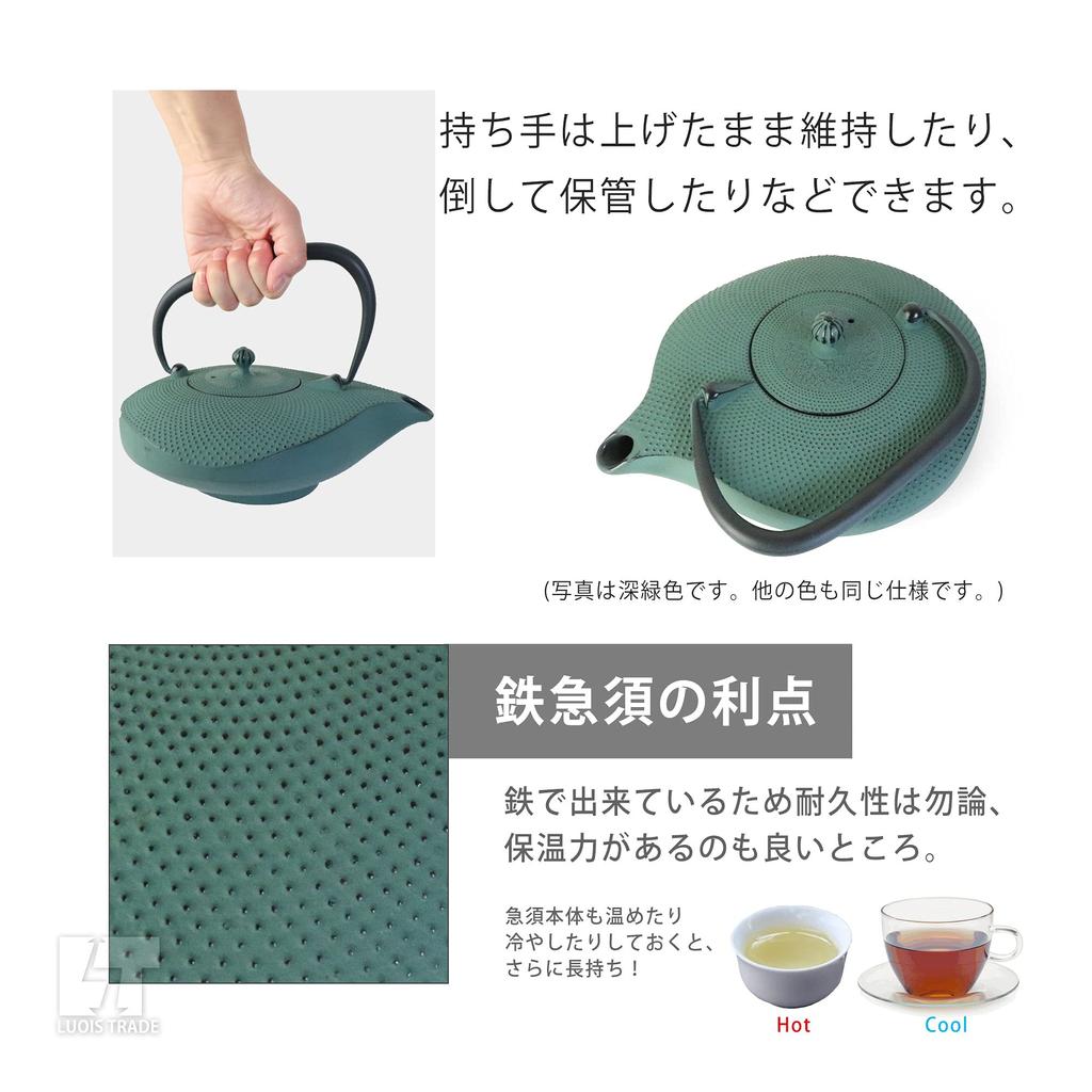 Oshu Nanbu Ironware Teapot Nanbu Shape Kawasemi Enameled with Tea Strainer Made In Japan Iron Kettle Iron Teapot Stylish Gift Interior Cups 22 X 17cm