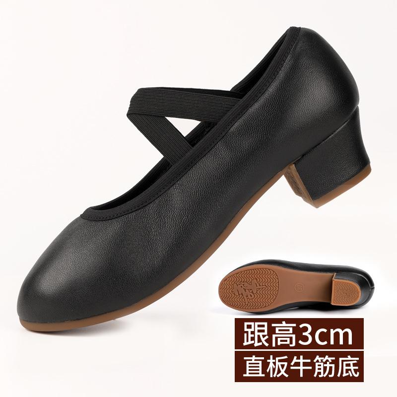 Танцевальная обувь для женщин, туфли для преподавателей с плоской подошвой на двух точках, профессиональная танцевальная обувь