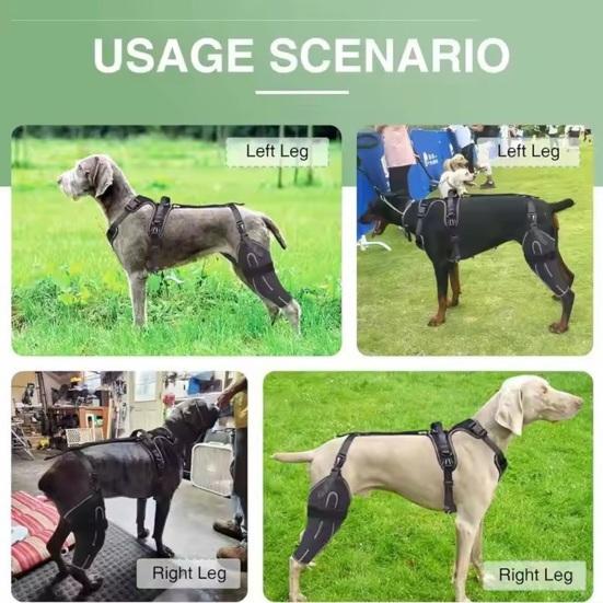 Фиксатор колена для задней ноги собаки Фиксатор колена для бедра собаки Поддержка передней крестообразной связки при дисплазии тазобедренного сустава у собак Артрит Вывих коленной чашечки