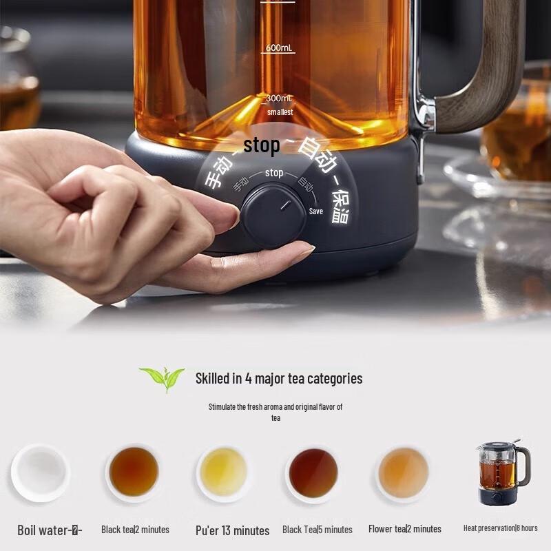 Bear 1.2L Thickened Glass Spray Tea Maker & Health Pot CN plug (adapter included)