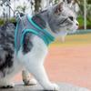 Cat Harness and Belt Set Breathable Accessories for Cats Pet Products Necklace Collar Pets Supplies Home Collars Things Cats