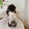 Lace Camisole Pet Spring Summer Jumpsuit Soft Pet Four Legged Coat Pet Supplies Dog Pajamas  Autumn