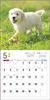 Календарь 2024 Золотистый ретривер (Календарь Seibundo Shinkosha)