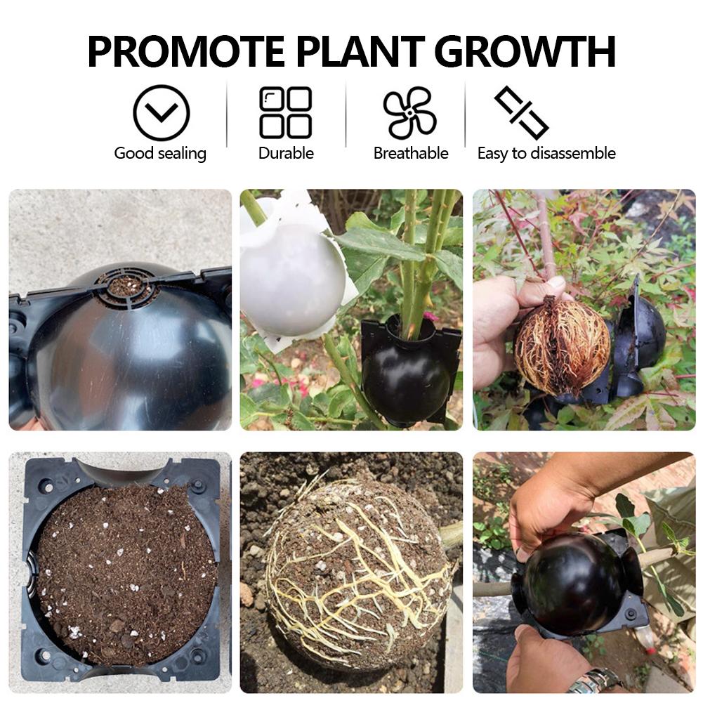 Оборудование для укоренения растений Воздушные отводки Высокое давление Размножение шаровидной прививки Ящик для разведения садовых прививок Саженцы