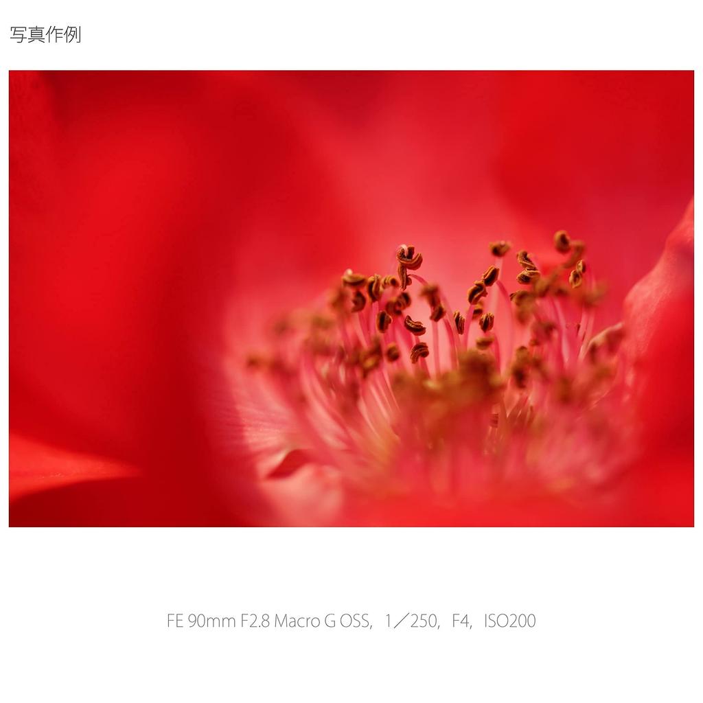 Sony Macro Full Size FE 90mm Macro G OSS G Lens for Digital Single Lens Camera Genuine Lens SEL90M28G F2.8 [E Mount]