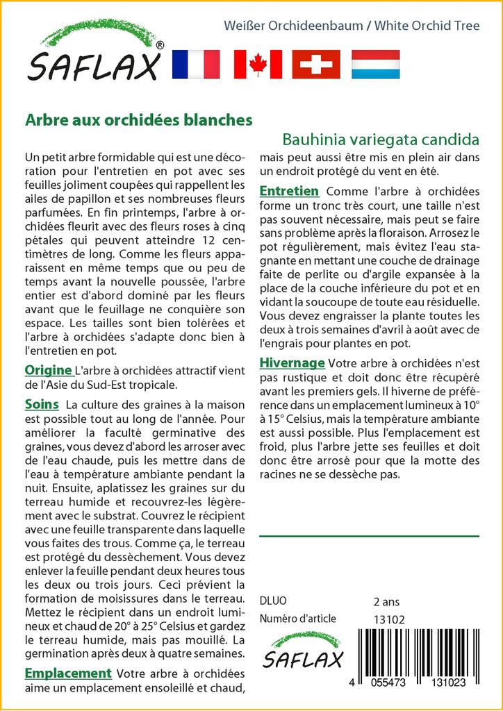 SAFLAX Белая орхидея - 5 семян - Bauhinia variegata candida