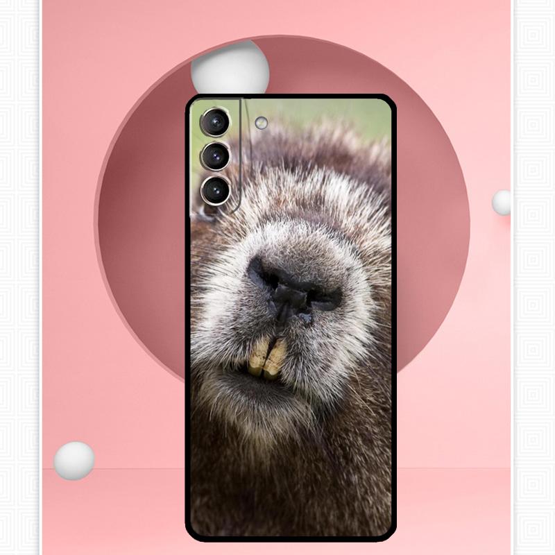 Чехол Animal Beaver для Samsung Galaxy S22 S23 S24 Ultra Note 20 10 S8 S9 S10 Plus S21 S20 FE, мягкий чехол