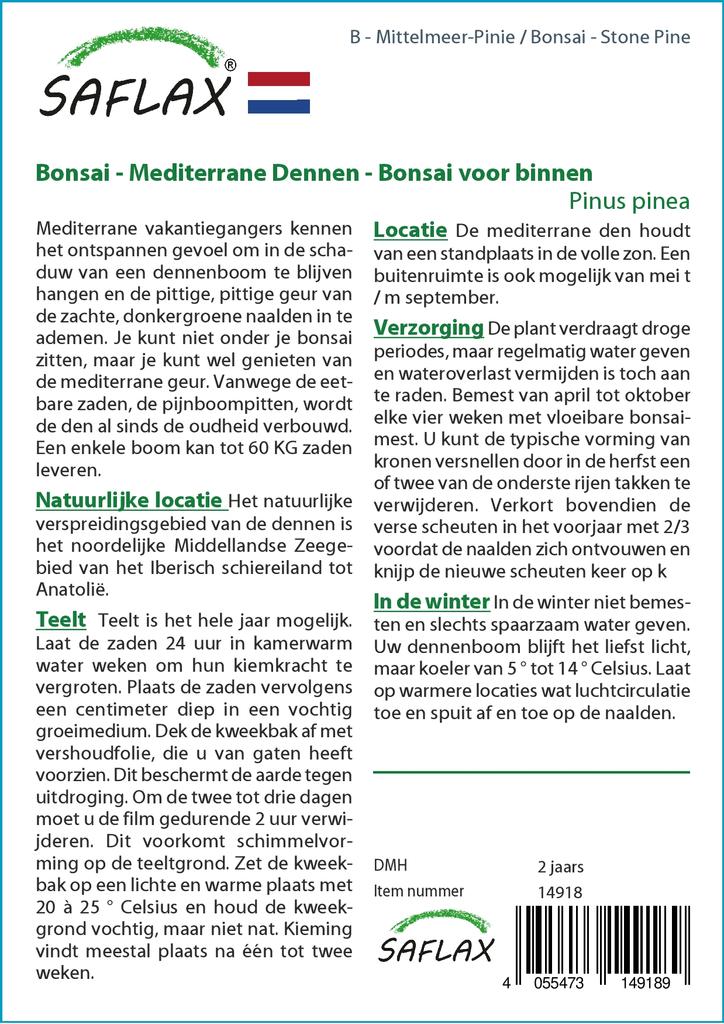 SAFLAX Garden in the Bag - Бонсай - Кедровая сосна - 6 семян - С субстратом в подходящем мешке-стойке - Pinus pinea