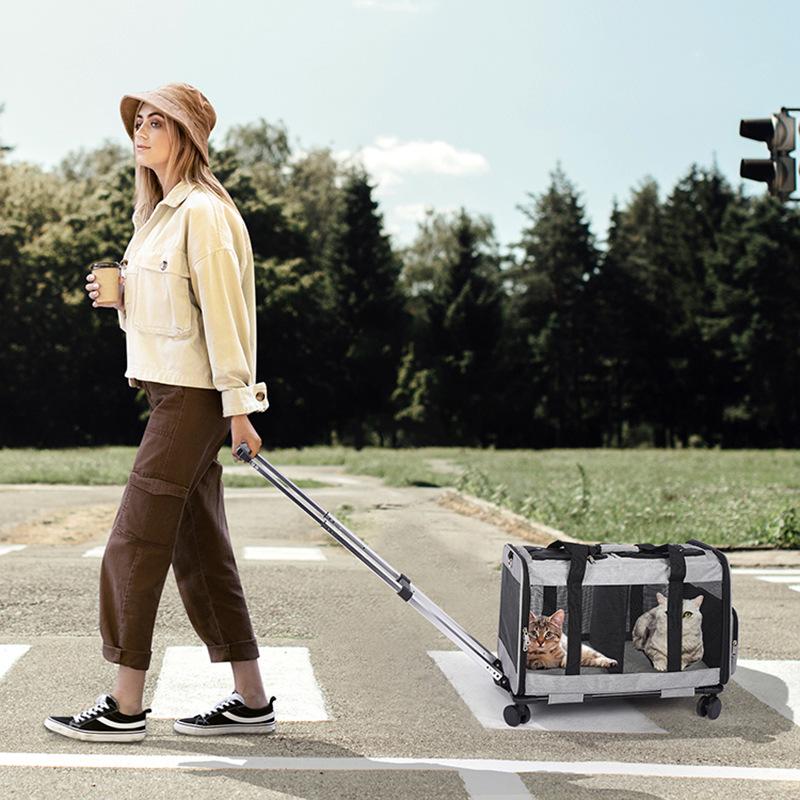 Dual-Layer Pet Trolley: Spacious, Breathable, Detachable Handheld & Shoulder Travel Bag for Cats