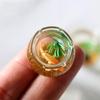 Кукольный домик миниатюрный стеклянный аквариум чаша аквариум кукольный дом домашний орнамент
