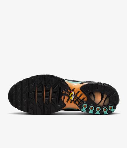 Nike Кроссовки Air Max Plus для мужчин DM0032-022
