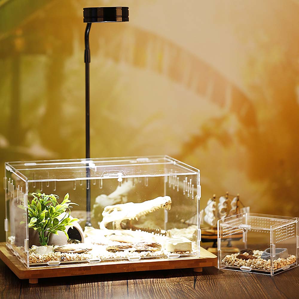 Hatcher Lizard Container Insect Breeding Box Hatching Terrariums Reptile Incubator Insect Supplies