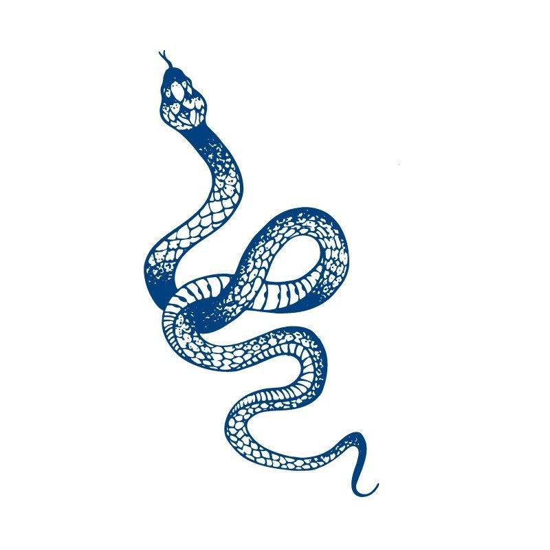 Herbs Gradual Change Jellyfish Planet Feather Snake Big Pattern Geisha Slowly Color Simulation Water Transfer Tattoo Sticker