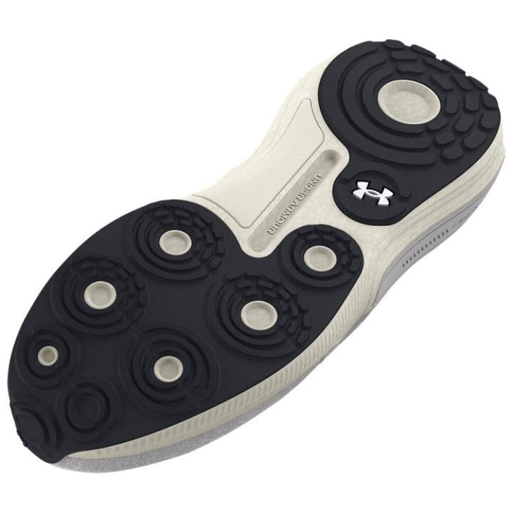 Under Armour Кроссовки Phantom 4 Luxe Унисекс Далекий Серый 3027874-100