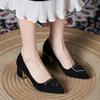 Soft Leather Medium Heel Single Shoes Femininity Socialite 2025 New Black Professional Work Shoes Internet Celebrity Same Versatile Single Shoes
