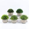 Simulation Green Plant Mini Pot Fake Plants Fake Flowers Bonsai Indoor Living Room Desktop Decoration Photo Props