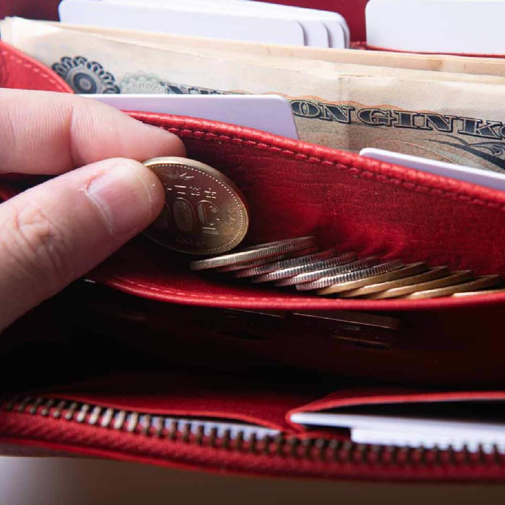 Wallet TIDY Long Wallet Elegant Simple Soft Large Capacity Zipper Small Skimming Prevention Genuine Leather Slim Going Out Compact Present Women