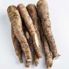 35 огромных семян Salsify - старый огород - крестьянские семена