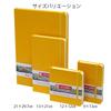 Блокнот для рисования Talens Japan Royal Art Creation Sketchbook 9 x 14 см золотисто-желтый T9314-111M 441769