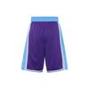Nike Шорты NBA Swingman Los Angeles Lakers City Edition Dri Fit DB4138-504
