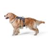 Japanese TUFF HOUND Harness for Soft for and Large Long Chest Circumference for Second Size [Official Distributor] Dogs, Mesh, Lightweight, Small,