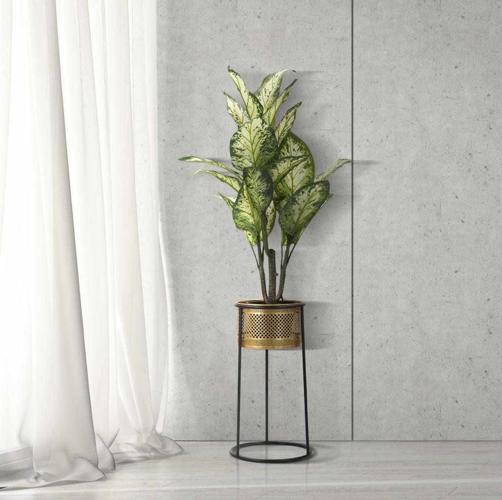 Flower Holder Simply Cm Ø 25X50