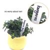 100pcs Gardening Name Tags Plastic Plant Labels Plastic Garden Markers Marks UK
