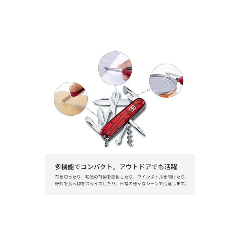 VICTORINOX Cyber Traveler T (1.3703.Т)