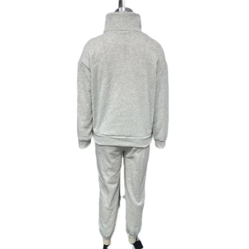 Повседневные свободные толстовки с длинным рукавом и брюки, комплекты из двух предметов, женский осенний теплый однотонный спортивный костюм с воротником-стойкой