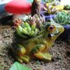 Breathable Frog Succulent Plant Pots Resin Plant Planter Art Potted Plants Frog Flower Pot  Garden