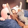Cinereus Stuffed Phascolarctos Animal Cute Cartoon Koala Doll Girl Gift Birthday
