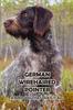 Книга German Wirehaired Pointer : A Bird Dog That Does It All: The Ultimate Guide To German Wirehaired Pointer