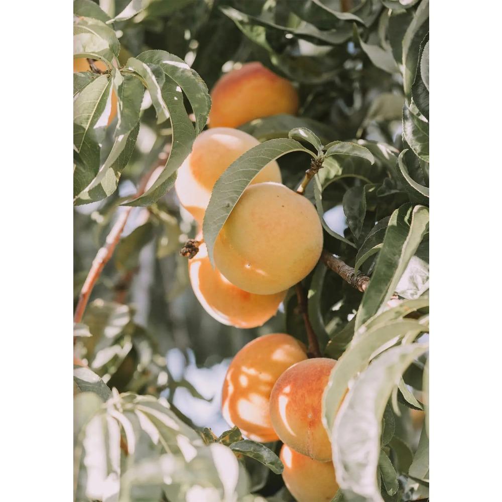Italy Sicily Mediterranean Coast Posters Modern Landscape Posters and Prints Canvas Painting Decor Living Room Home Decoration