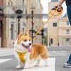 Набор шлейки и поводка для собаки породы корги - Жилет для собаки малого и среднего размера
