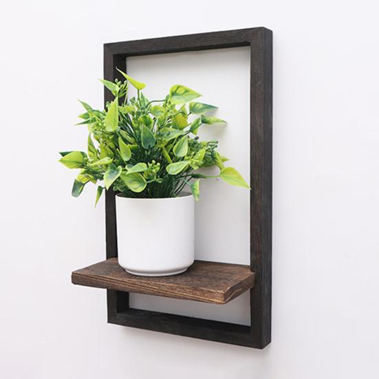 1/2Pcs Wall Plant Shelf Space Saving Plant Display Rack Strong Load-bearing Easy Assembly Indoor Plant Stand Wall Decor