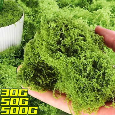 30/500 г Искусственные зеленые растения Мох Жизнь Трава Ландшафтный сад Искусственная трава Домашний декор Искусственные цветы DIY Ремесла Украшения