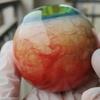 6cm Realistic Eyeball Resin Ornament with Base Creepy Eye Ball Decoration