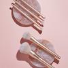 Коллекция кистей Blooming Edition Pro Petal