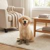 4PCS Wear Resistant Dog Anti-slip Socks Elastic Pet Floor Socks Pet Footwear  for Dogs Cats
