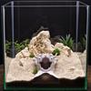 Аквариумная пещера с дизайном дракона, 3D-печатный туннель-укрытие для рыб под гравием, с смотровыми отверстиями для креветок-петушков, плеко, коридорасов