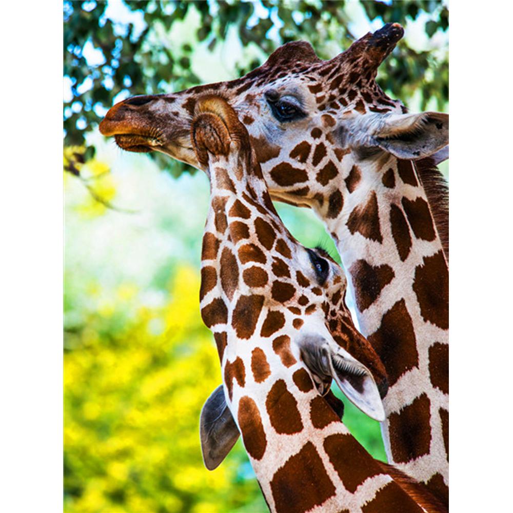 Diamond Painting Kit Panda Diamond Embroidery Cross Stitch Animal Pictures Of Rhinestones Mosaic Handicraft