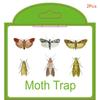 2/5/10 шт. Ловушки для моли Кладовая Одежда Кухня Еда Дом Сад Борьба с вредителями Ловушки для моли Феромон Моль Наклейка Ловушка для моли