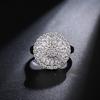 Temperament Platinum Plated Micro-Set Aaa Zircon Ring, Bridal Ring, Hand Jewelry