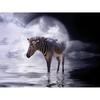 5D DIY Алмазная картина Зебра в воде Алмазная вышивка Мозаика Крест Стежок Горный хрусталь