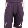 Arsenal Tiro 24 FW24 Training Breathable Fashion Casual Sports Shorts Men Shorts Aurora-Black JF2918