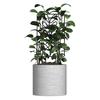 Metal Plants Trellis Hollow Leaf Indoor Outdoor Potted Flowers Plants Climbing Small Houseplant Vine Ivy Support Stake Gardening Supplies