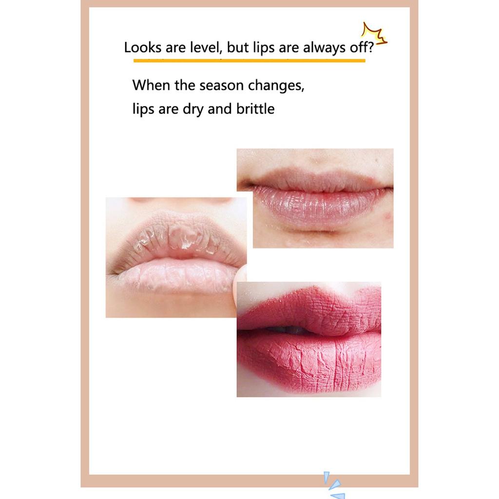 Бальзам для губ Увлажняющий бальзам для губ Не легко сушить и трескать Увлажняющий бальзам для губ Уход за кожей мужчин и женщин(3g