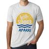 Мужская винтажная футболка с рисунком Time to Say Hello to Summer в цвете APARRI Vintage White