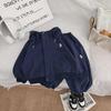 Trendy Korean-Style Spring/Autumn Casual Hoodie and Trousers Set for Kids